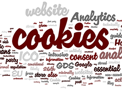 cookies, javascript, sử dụng cookies, COOKIES trong Javascript